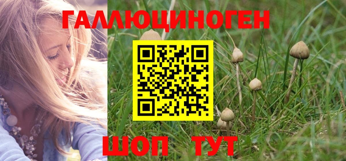 Галлюциногенные грибы прущие грибы  Вход с VPN  Стрежевой 